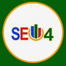 SEO 4 Instructors